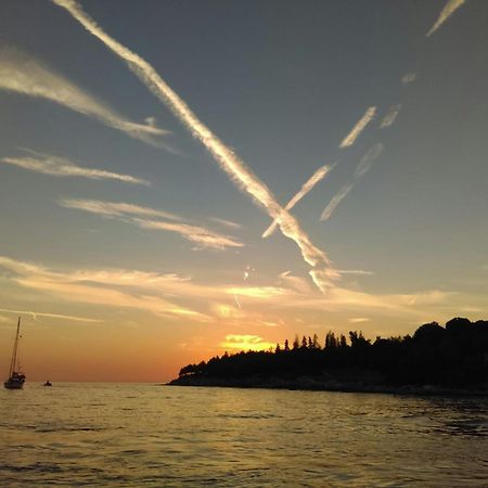 Apartment Babbo Rovinj Dış mekan fotoğraf