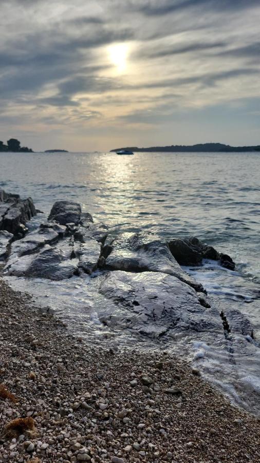 Apartment Babbo Rovinj Dış mekan fotoğraf